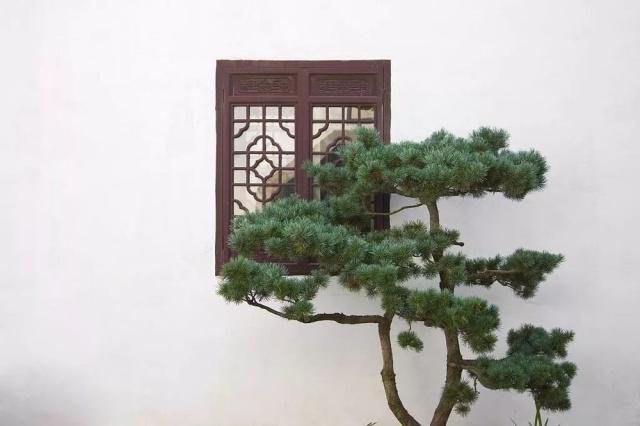 驚艷世界的中式庭院，美哭了！